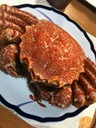 カニパ