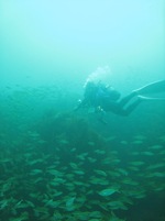 IMG_1780